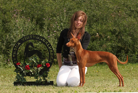 BIR cincero dell etna